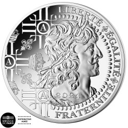 Ors de France - Le Louis d'Or Monnaie de 100€ Argent Qualité